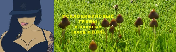 герыч Богородск