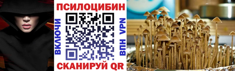 купить наркотик  Тобольск  Галлюциногенные грибы GOLDEN TEACHER 